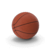 16 puces basket-ball